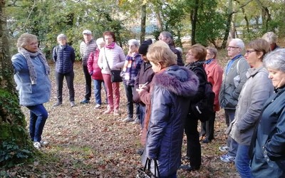 Activités bien-être — plantes et nature